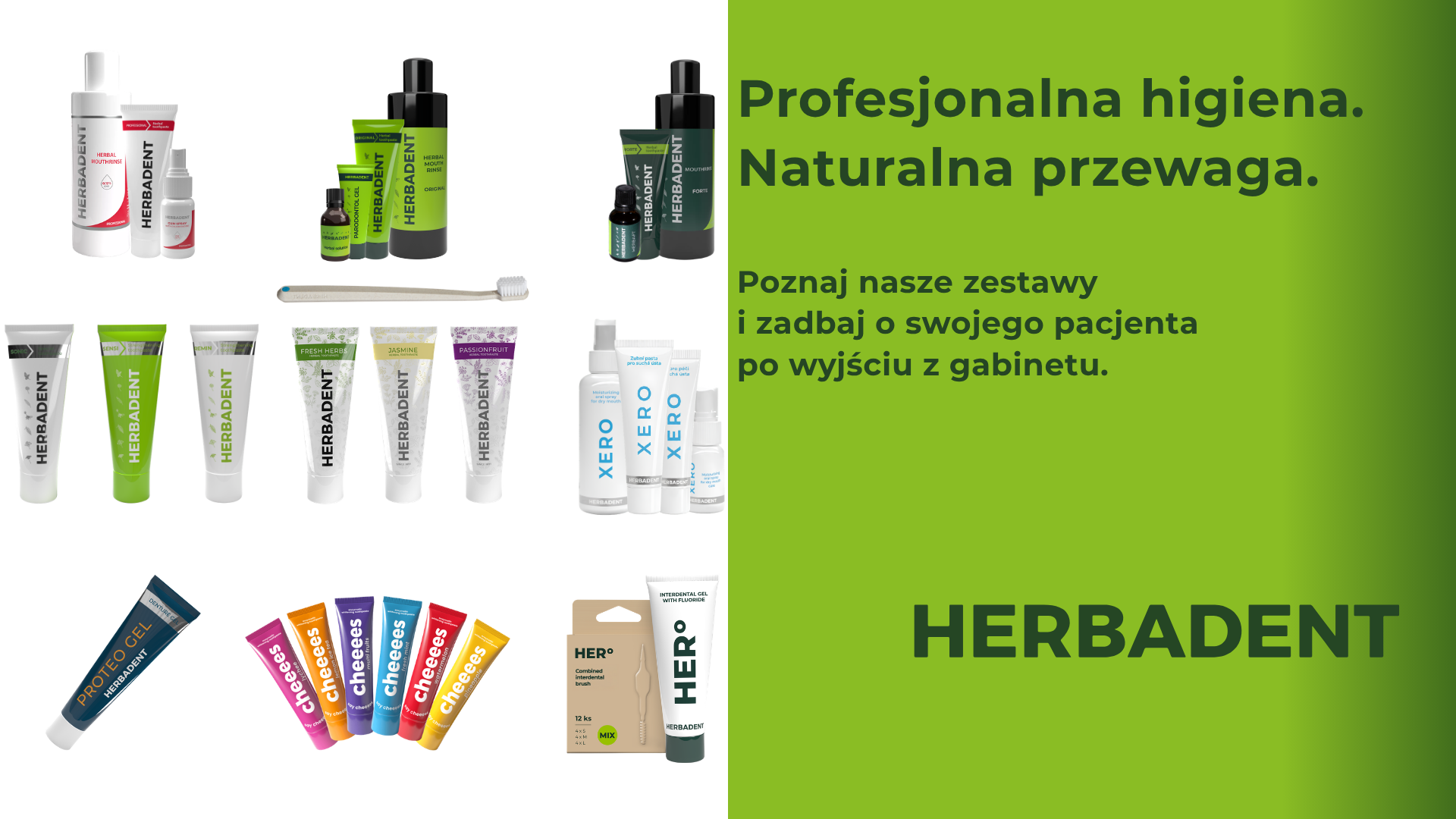 Projekt bez nazwy (4).png